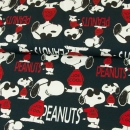 Peanuts Snoopy Jersey dunkelblau